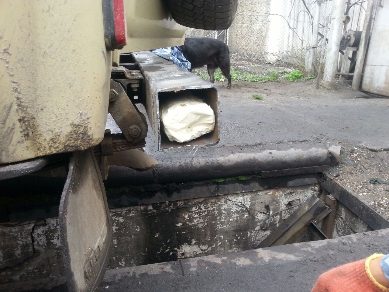 Фото: Пресс-служба УФСИН России по Амурской области