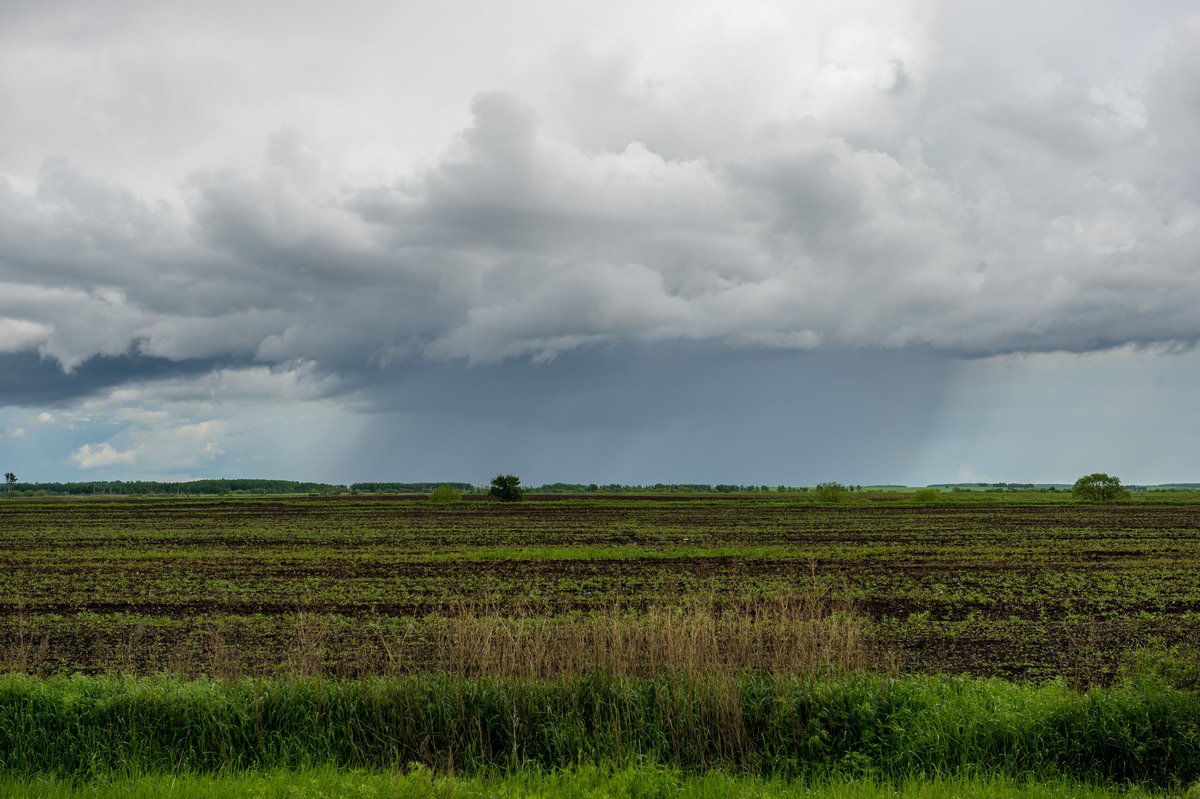 Фото: Андрей Ильинский (Архив АП)