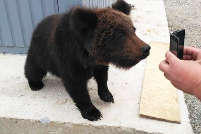 Фото: Соцсети