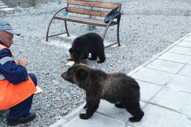 Фото: Соцсети