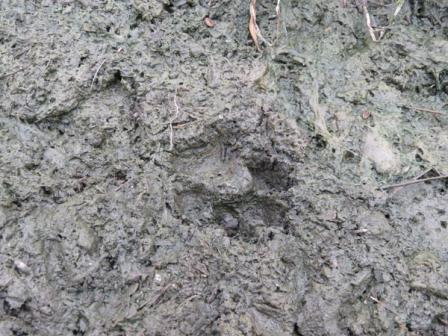 Фото: Зейский вестник