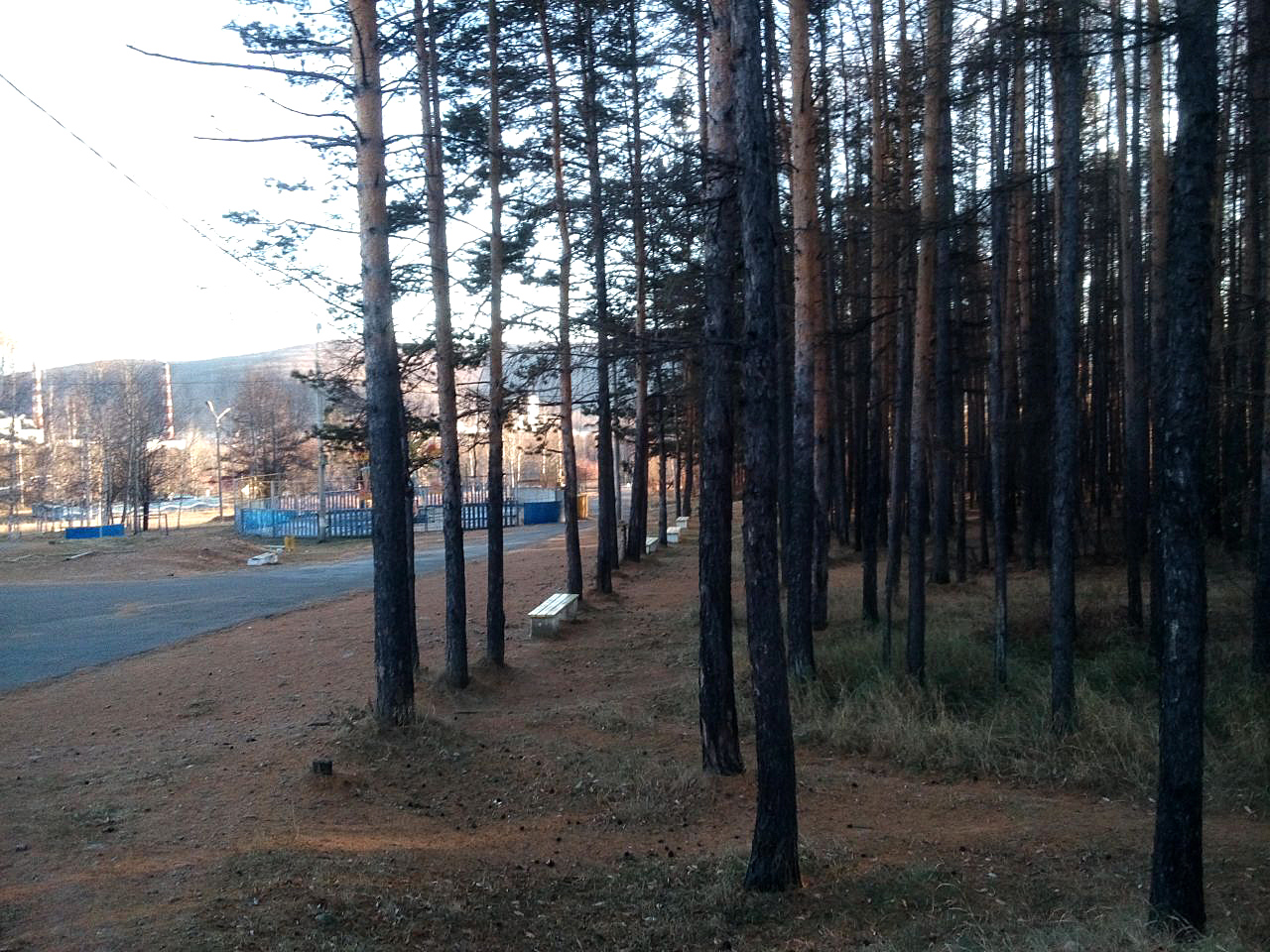 Фото: Надежда Миронова