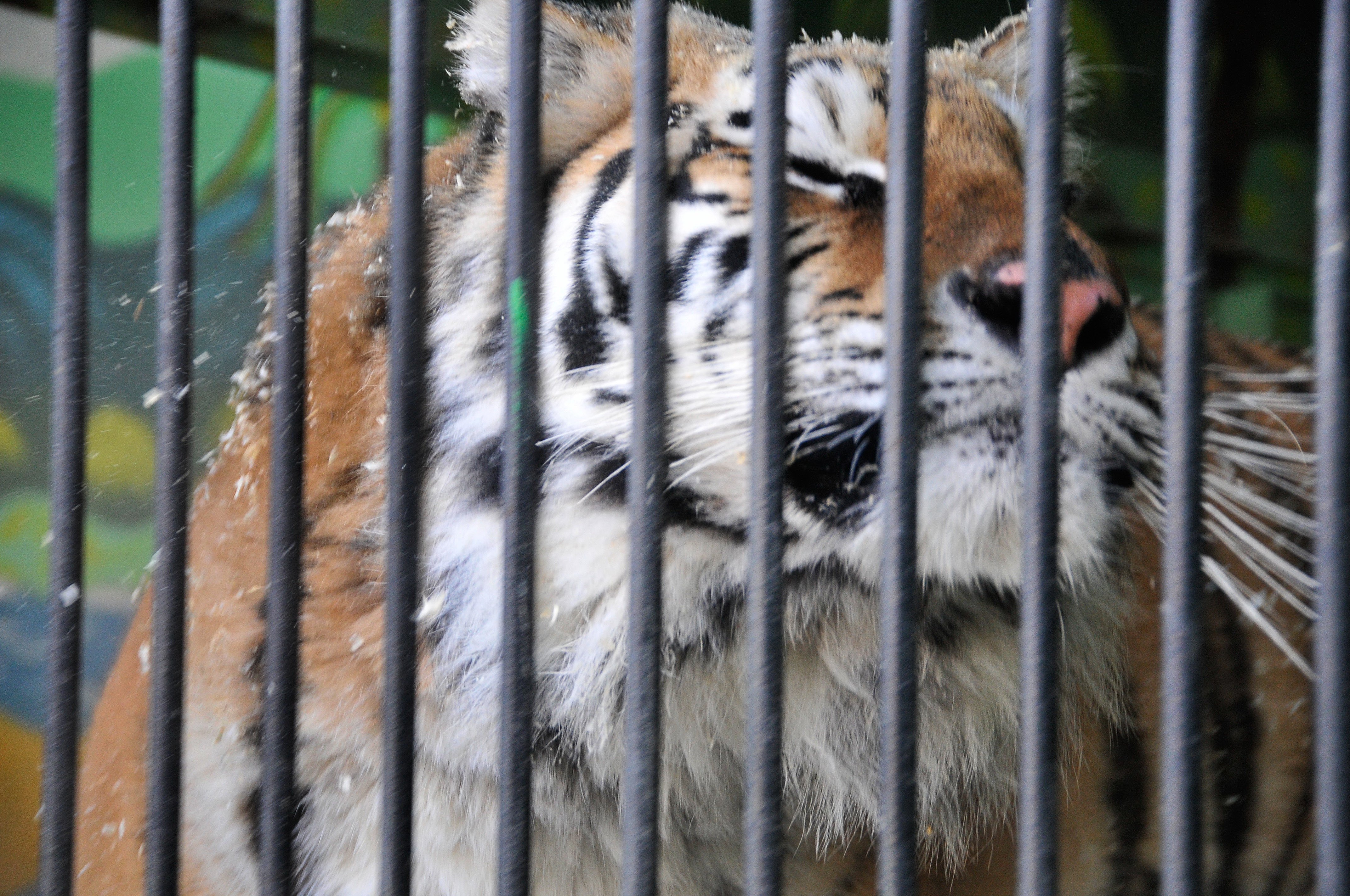 Фото: Архив АП