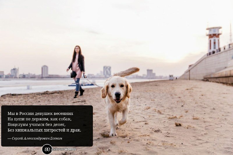 Фото: Сергей Лазовский