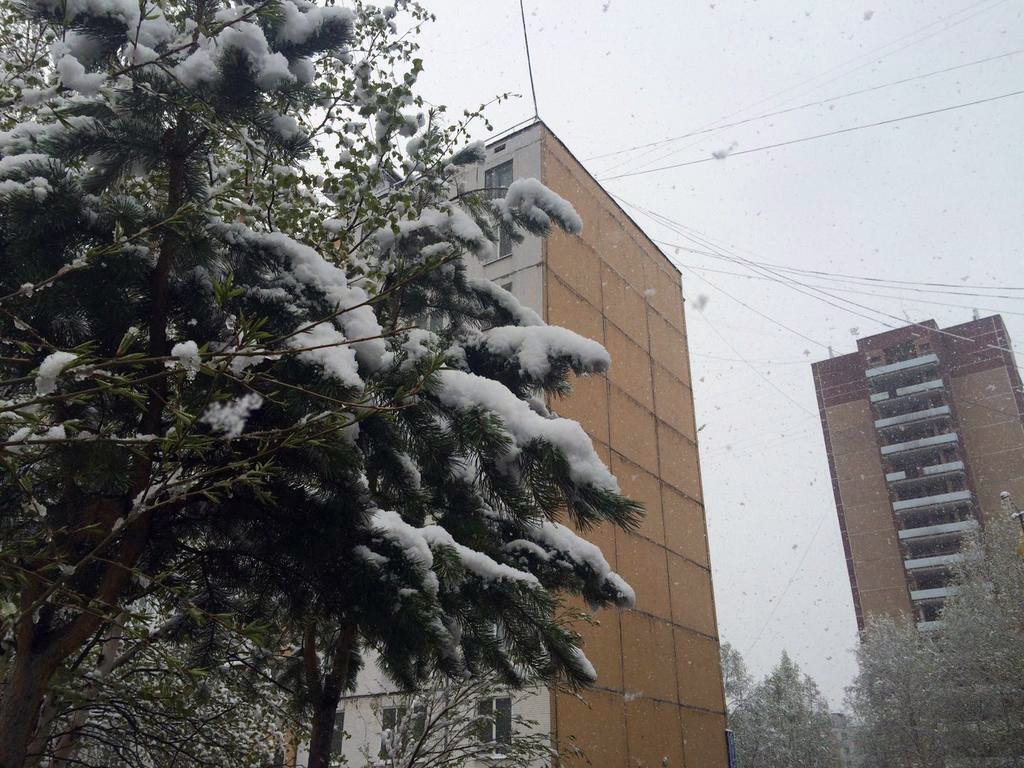 Фото: Максим Ермаков