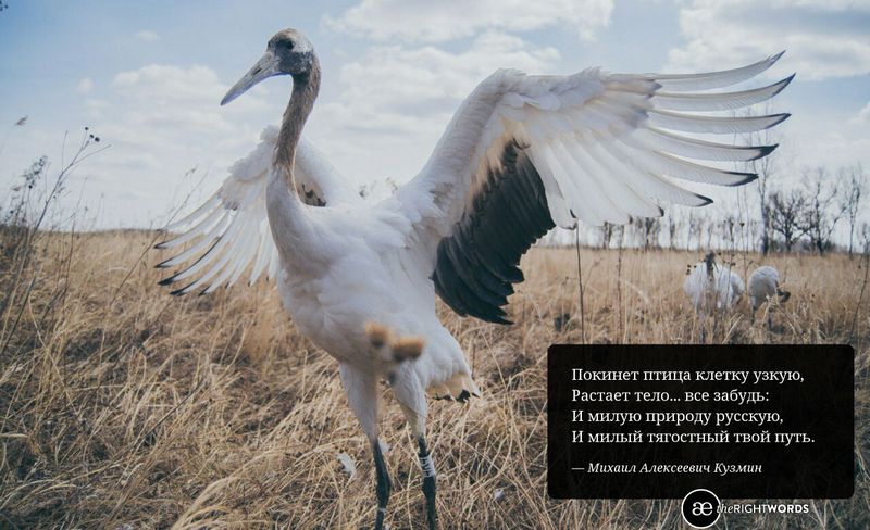 Фото: Дмитрий Тупиков