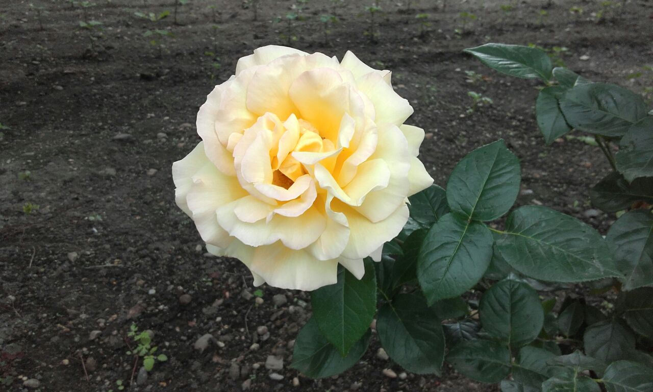 Фото: Мария Мурашко