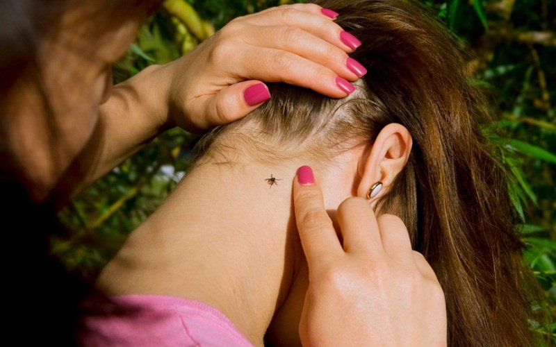 Фото: Архив АП