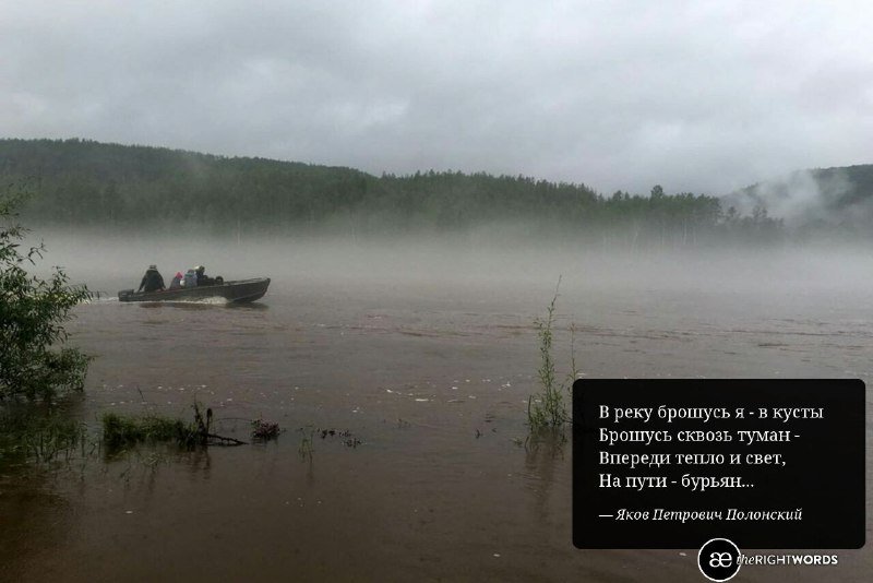 Фото: Елена Павлова