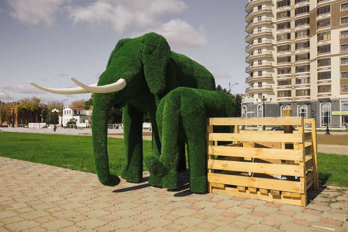 Фото: Сергей Лазовский