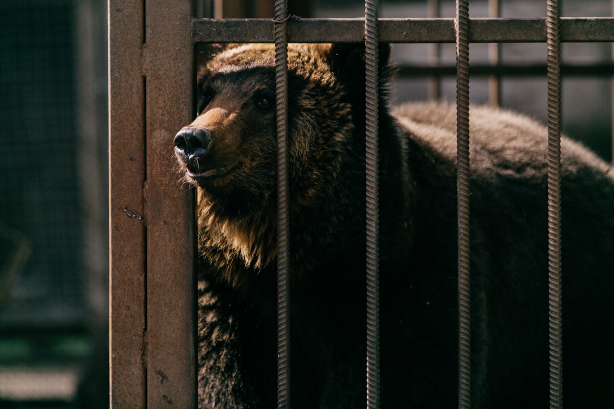 Фото: Сергей Лазовский