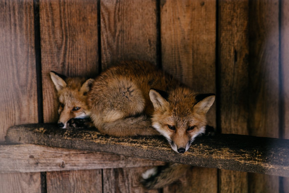 Фото: Сергей Лазовский