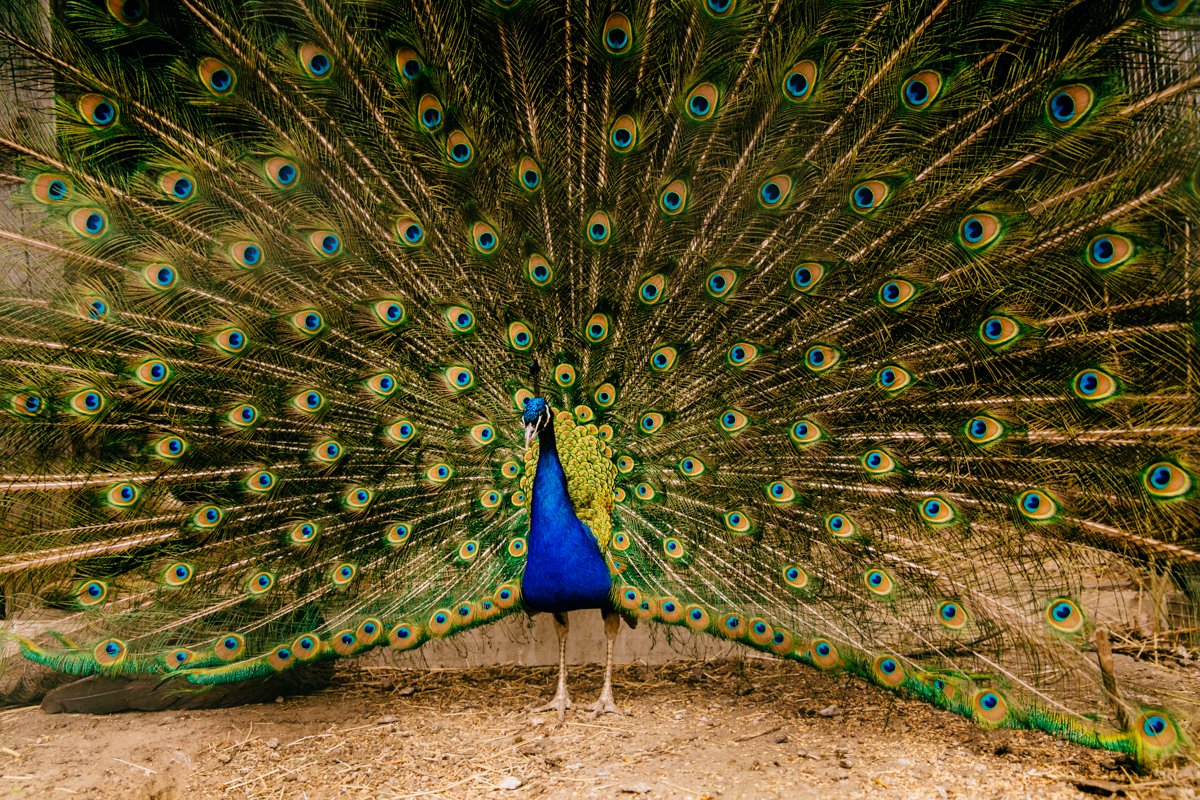 Фото: Сергей Лазовский