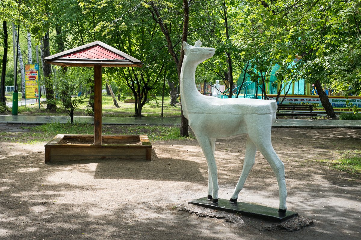 Фото: Андрей Ильинский