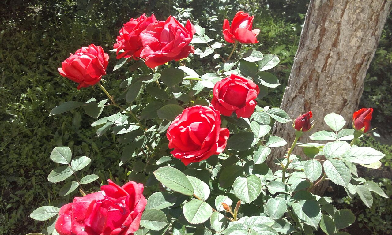 Фото: Мария Мурашко