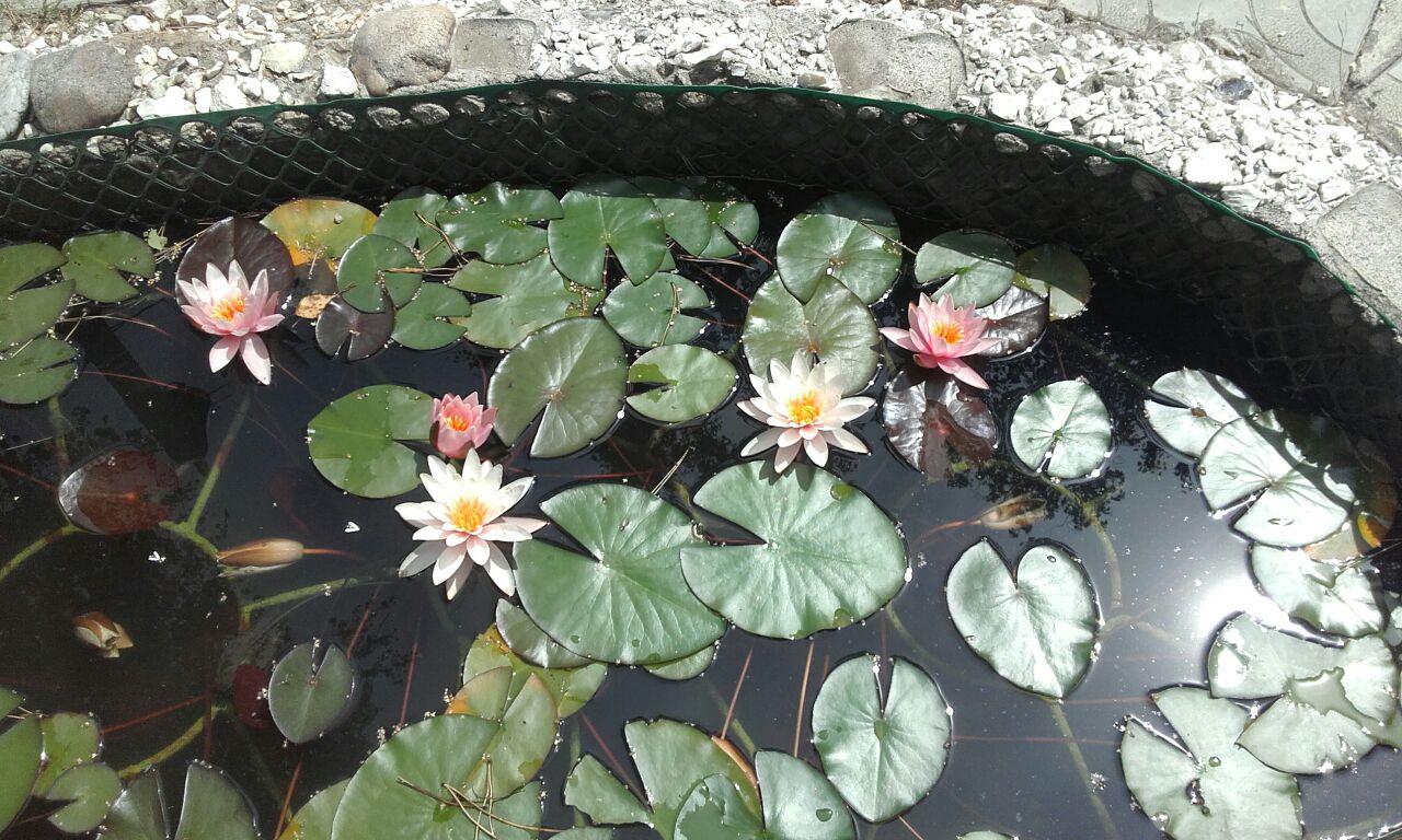 Фото: Мария Мурашко