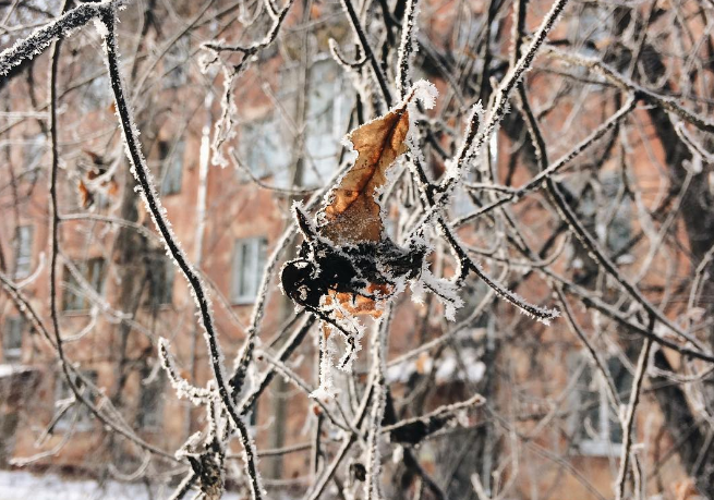 Погода на 3 дня г уфа рб