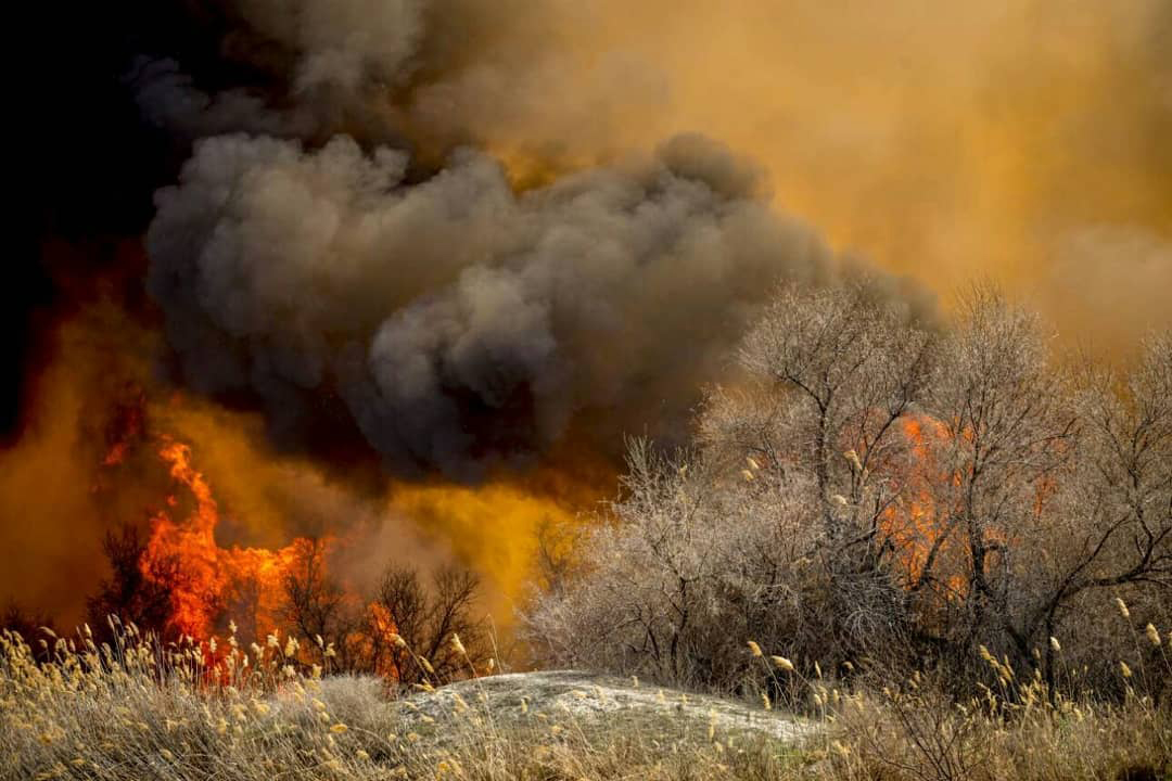 Инстаграм @arh_adm