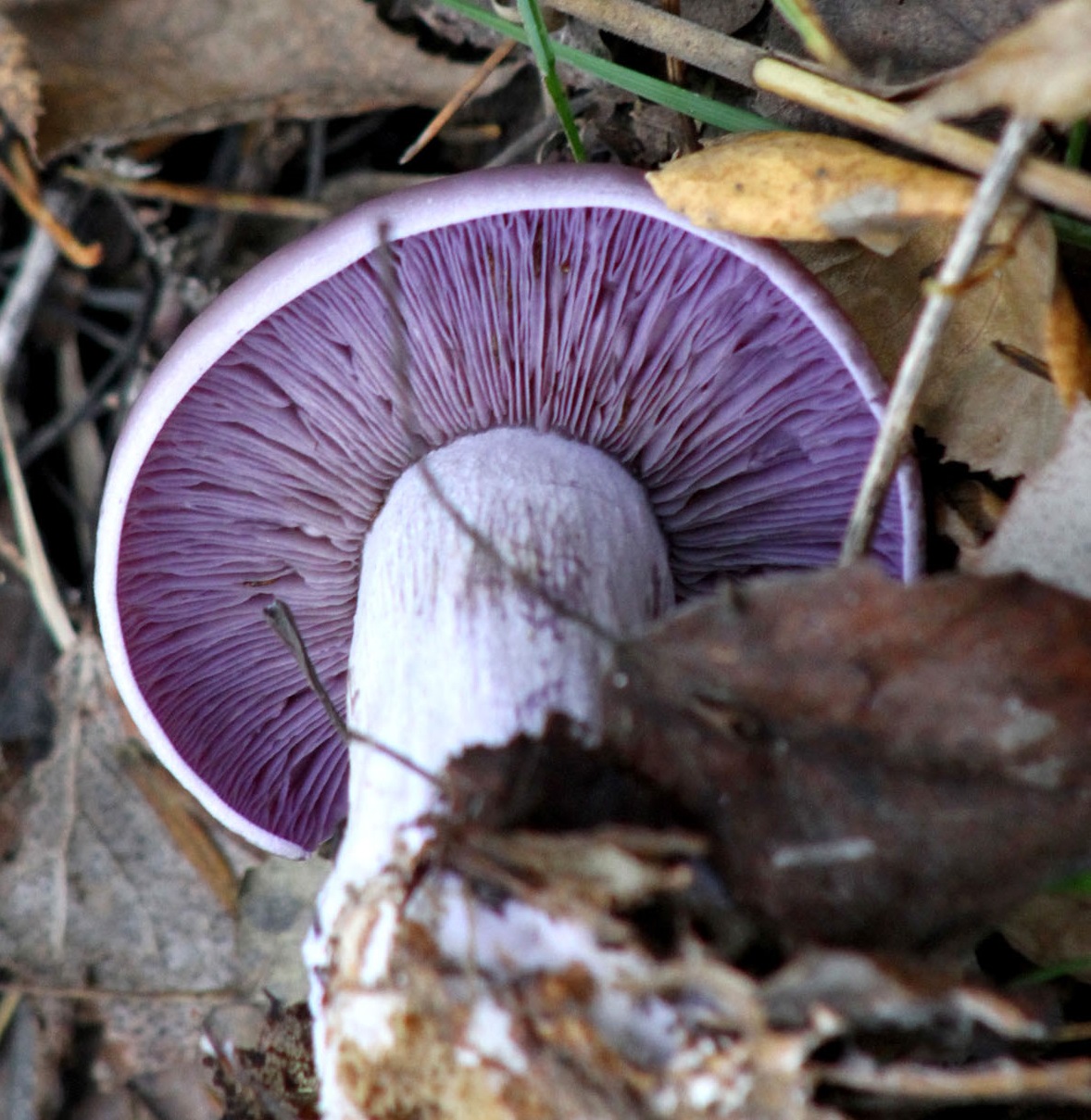 Фото: А.Соколов