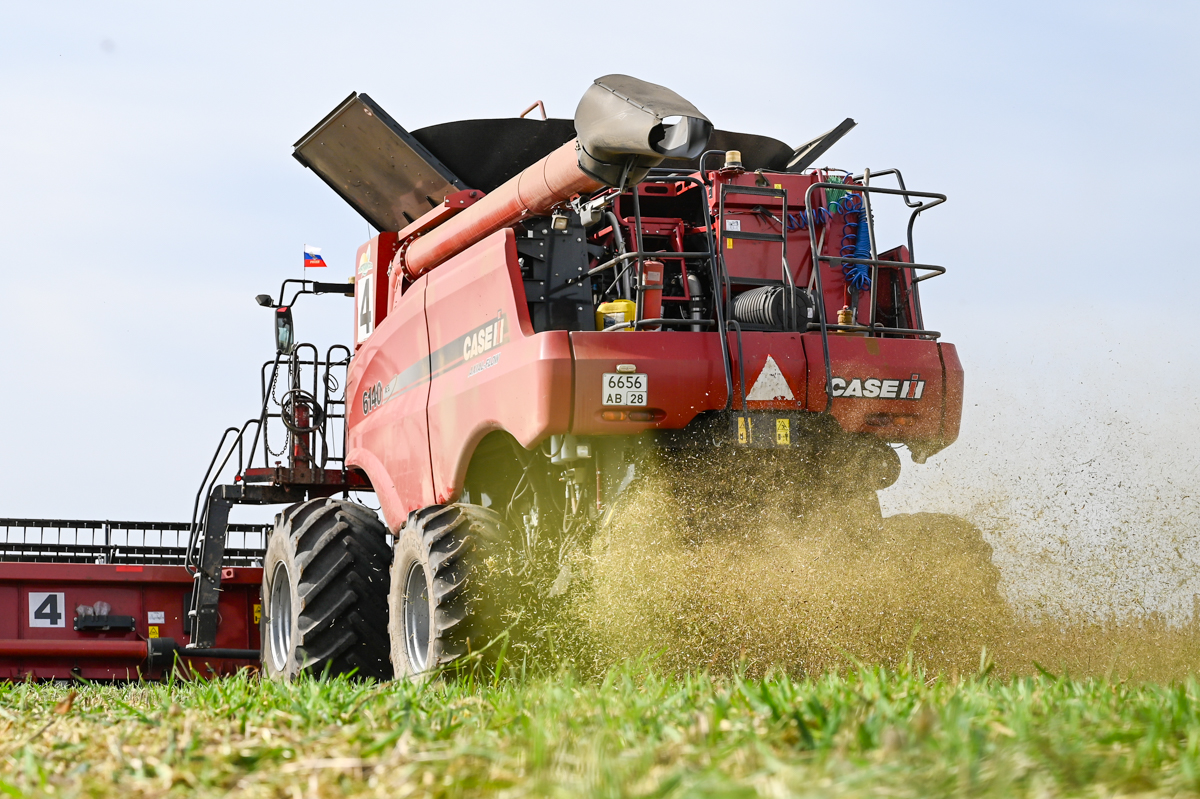 Фото: Алексей Сухушин.