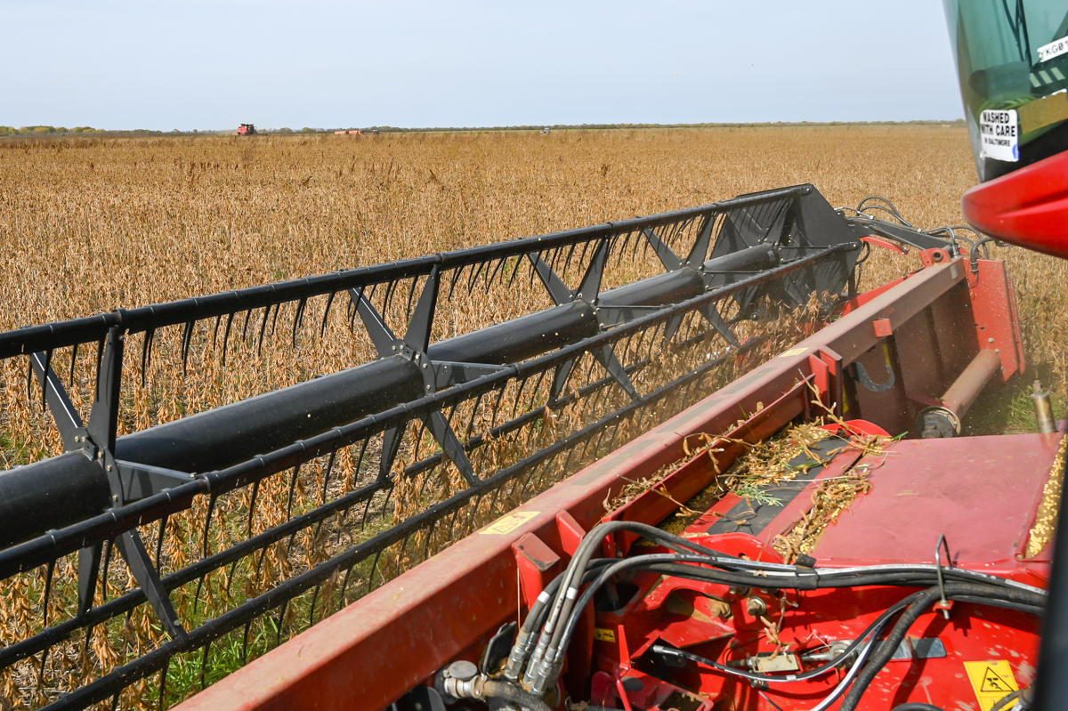 Фото: Алексей Сухушин.