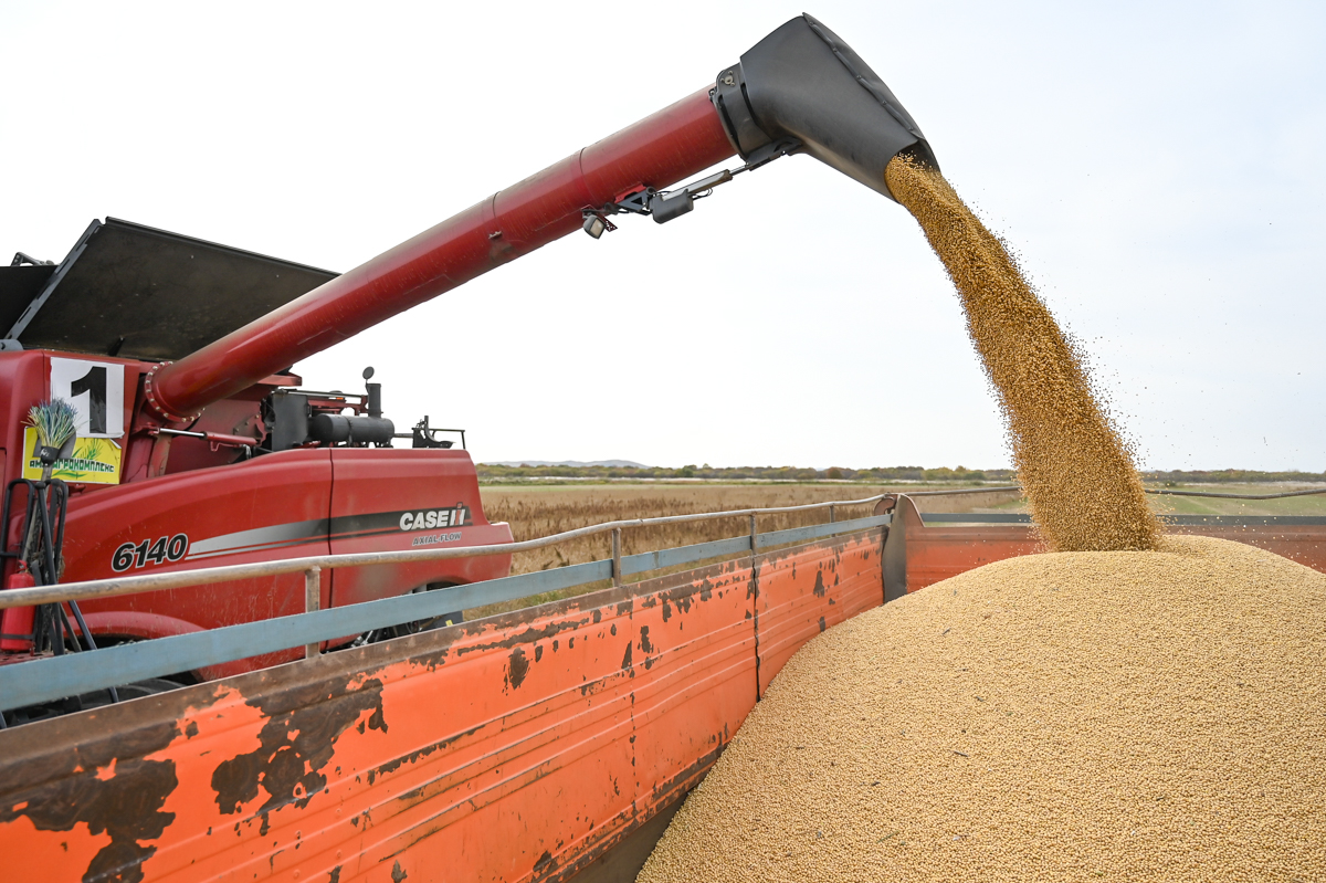 Фото: Алексей Сухушин.