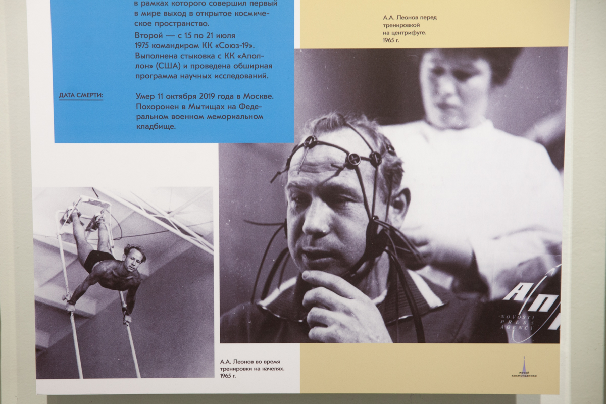 Фото: Владимир Воропаев