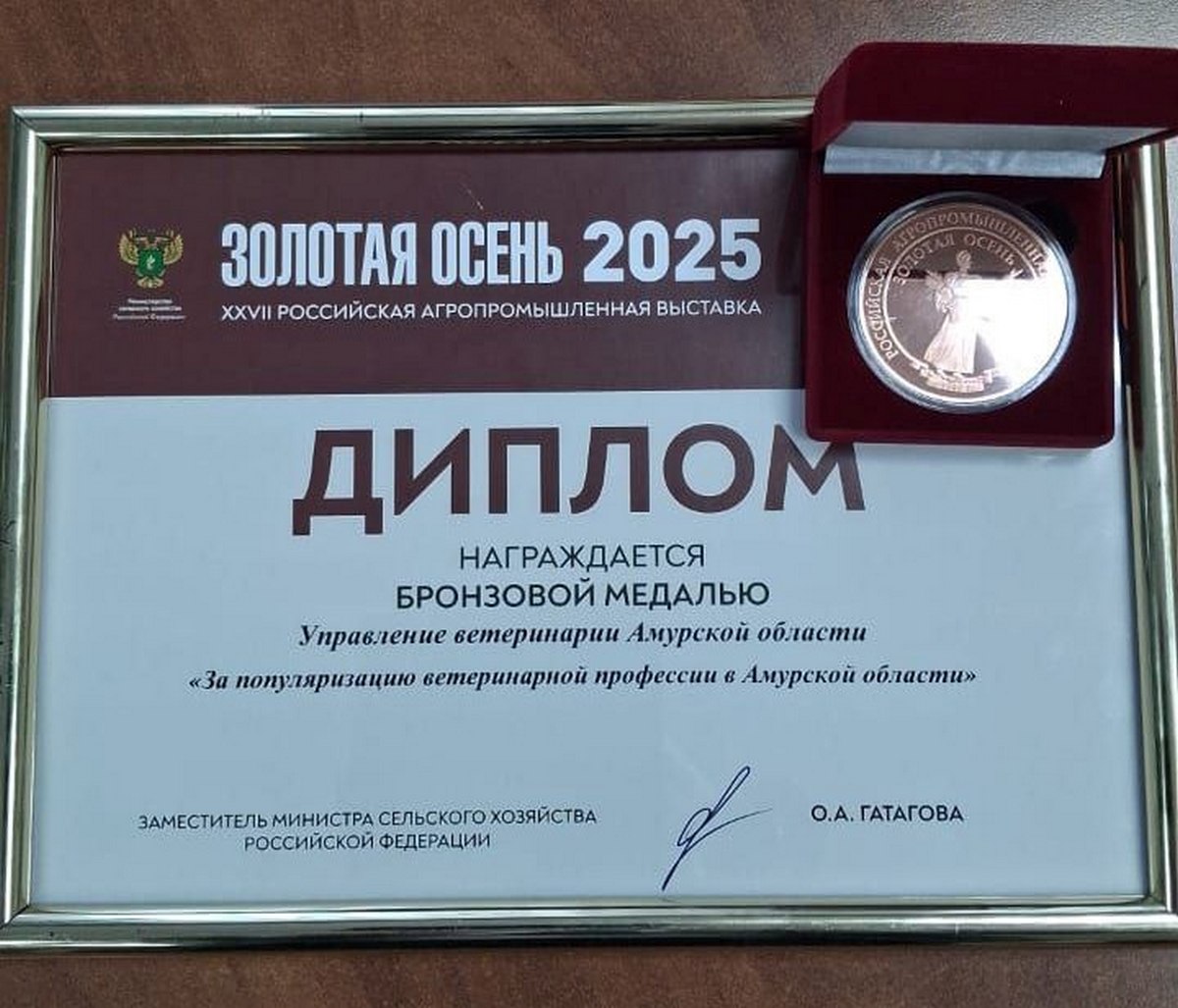 Фото: amurobl.ru Фото: amurobl.ru