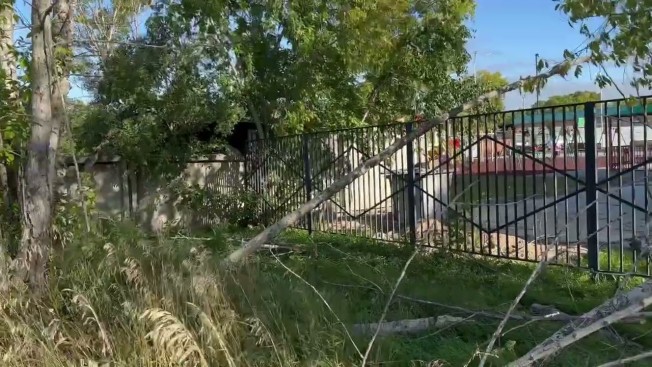 По распоряжению мэра Белогорска из-за непогоды временно закрылся городской парк