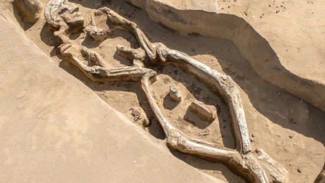 Археологи нашли в Усть-Ивановке несколько загадочных захоронений
