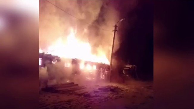 В Зейском районе сгорела конюшня: часть животных погибла