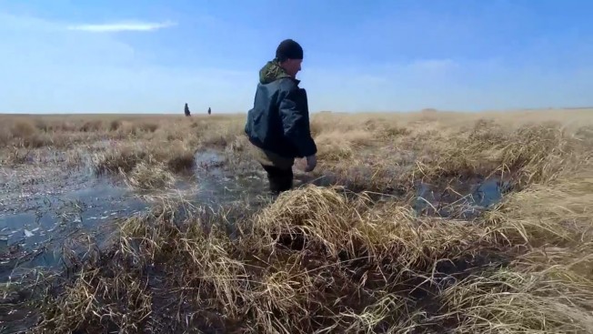 Амурские спасатели ищут пропавшего мужчину на пади в районе с. Новоалексеевка