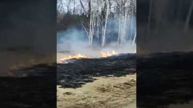 Жительница зейской Николаевки нарушила запрет: жгла сухостой около дома. Видео: amursiespasateli