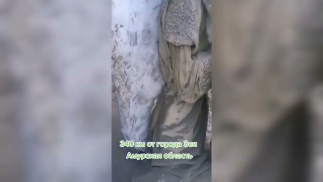 Амурчане поверили в фейк с откопанной статуей ангела на Эльгинском месторождении