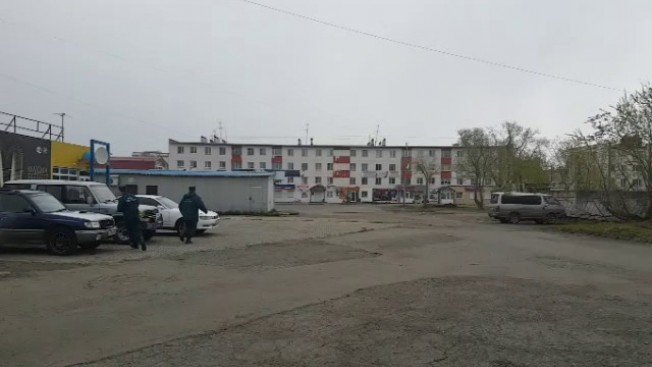 Медведя на Камчатке преследуют сотрудники МЧС