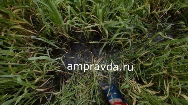 Затопленные поля Ивановского района