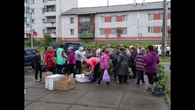 Амурчане собрали рассаду в помощь пострадавшей от града Дугде