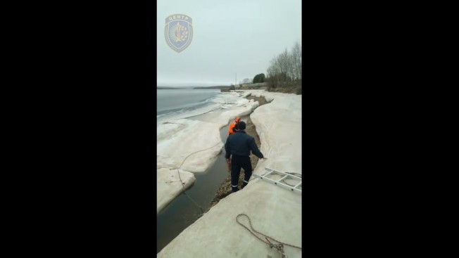 Зейские спасатели на этой неделе дважды вытаскивали из ледяной воды животных