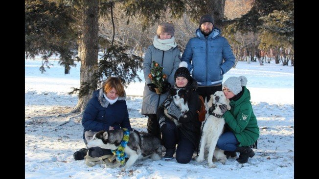 С Новым годом Собаки от сотрудников «Амурской правды» и их питомцев