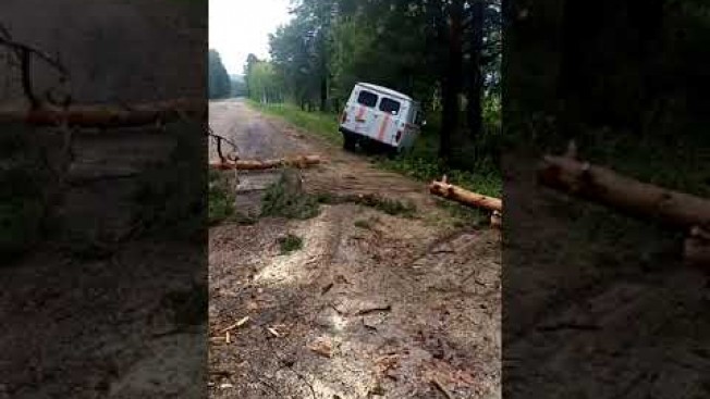 Сильный ветер повалил деревья в двух районах Приамурья. Видео Амурский центр ГЗ и ПБ