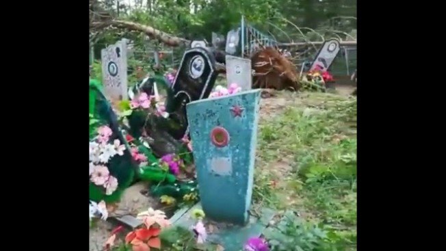 Мощный ветер повалил надгробия и деревья на кладбище в Шимановском районе