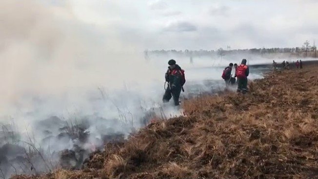 В Амурской области горят леса: действует режим чрезвычайной ситуации