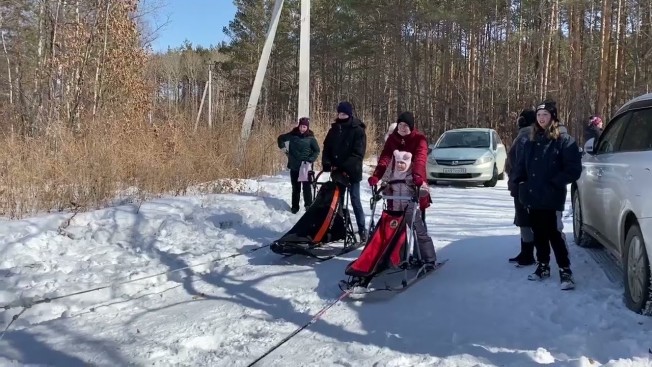 Благовещенские хаски и лайки завершили зимний ездовой сезон