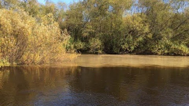 Золотодобытчики загрязняют реку в Архаринском районе