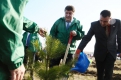 Одно из первых деревьев в будущем парке Виктор Масляков посадил своими руками.