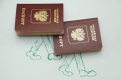 Заграничный паспорт получить проще, чем кажется.