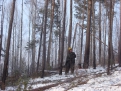 12 китайских лесопилок действует в Красночикойском районе. На них трудятся 400 граждан Поднебесной.