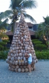 «Что растет на елке? Кокосовые иголки! Новый год во Вьетнаме». Анастасия Шпилева, г. Благовещенск.