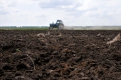 Посевная площадь под сою увеличится на 8 %, зерновые займут на 11 % больше земли, чем в 2012-м.