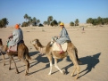 Только верблюды напоминают, что жизнь в пустыне Сахара не остановилась.